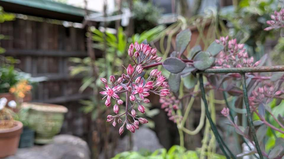 Pxl_20260902_224952682mp
