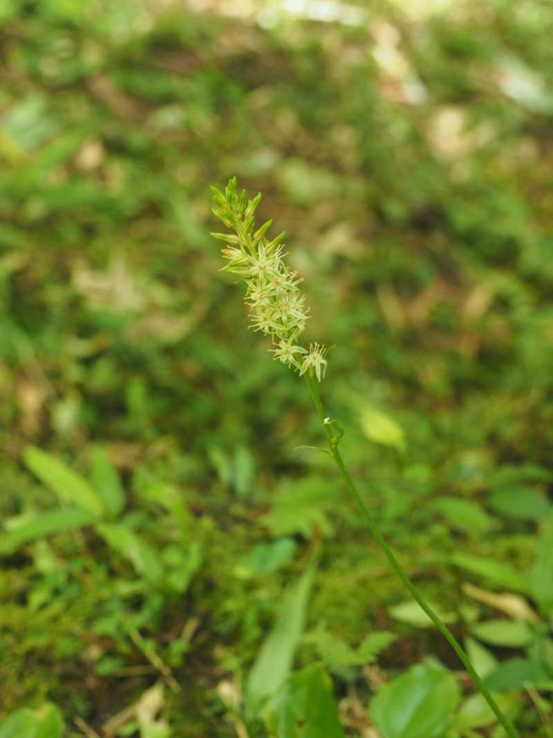 P7127670 P7127670