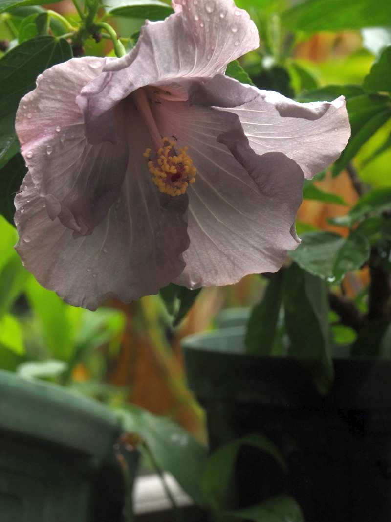 P9049537