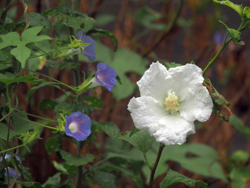 P9049545