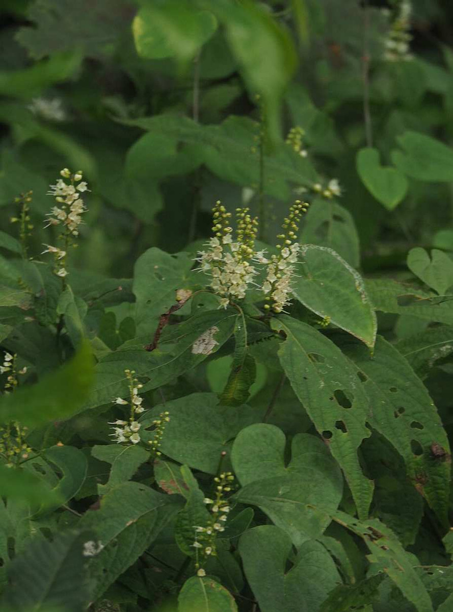 P9059702