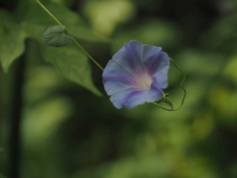 P9069780