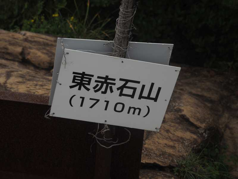 P7198091 P7198091