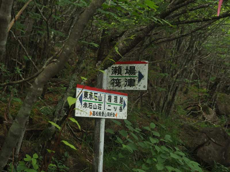 P7198113 P7198113
