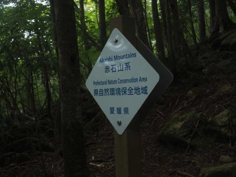 P7198118 P7198118