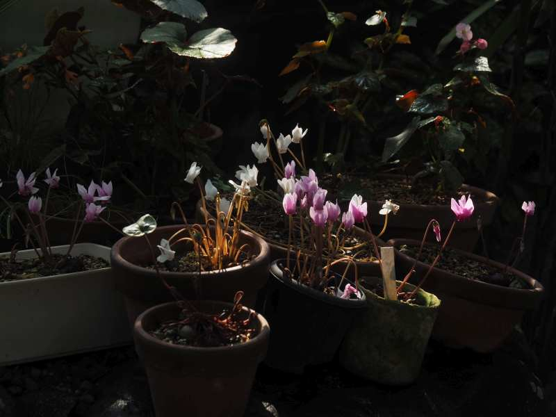 P9130070 P9130070