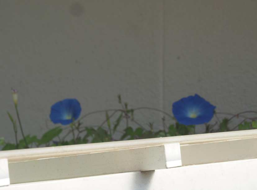 P9230601 P9230601