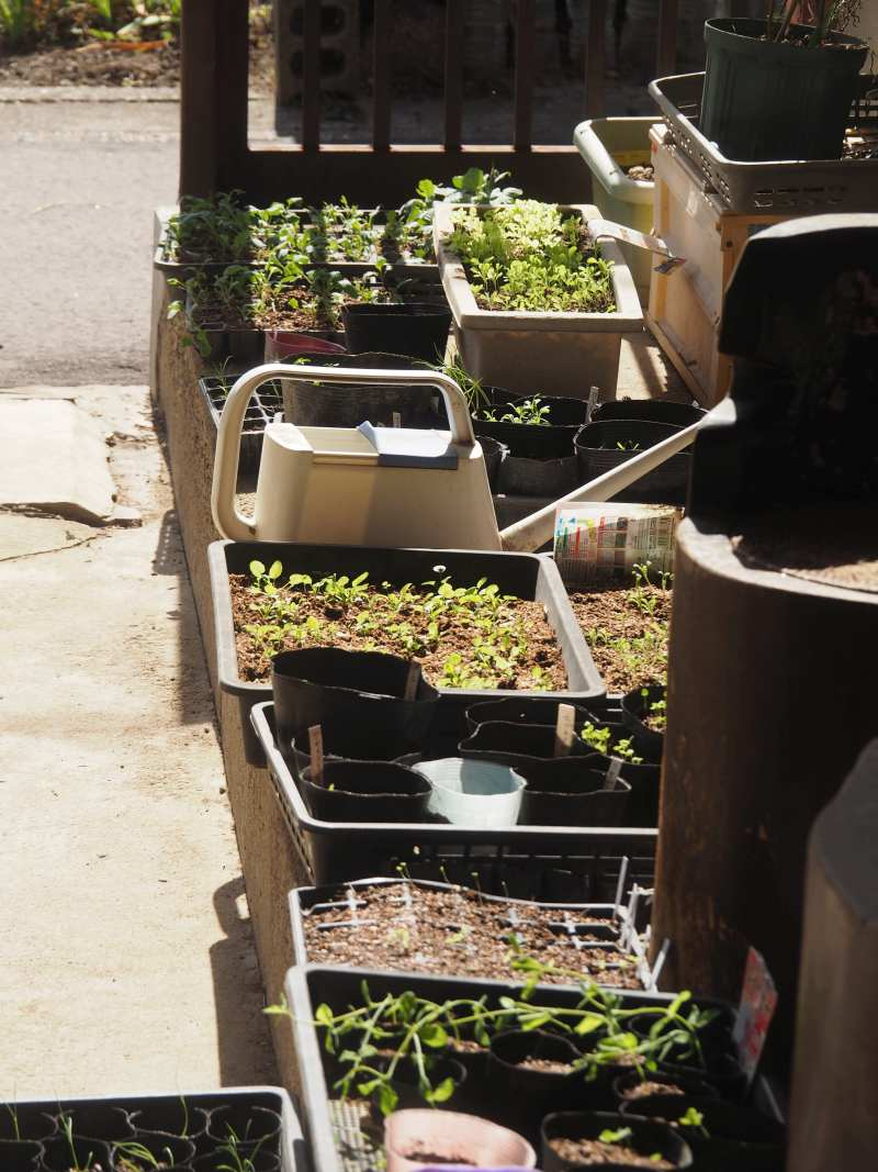 Pa192090 Pa192090