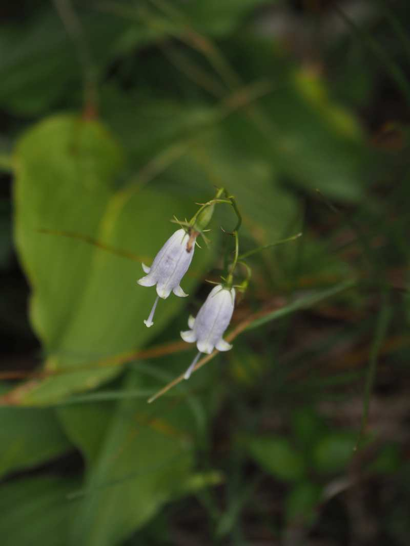 P8209094
