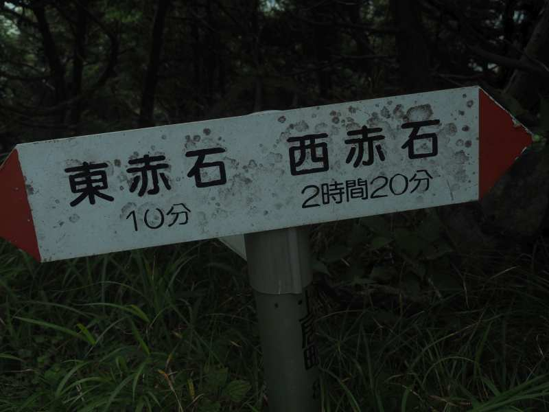 P8209126